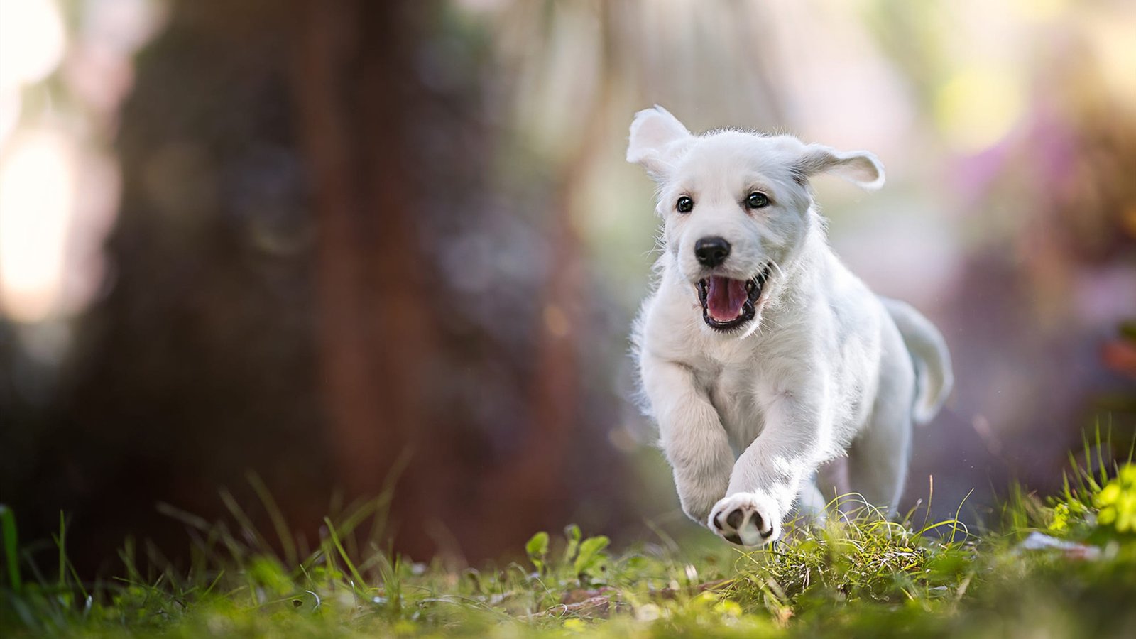 为什么总是收到莫名其妙的短信?网络诈骗泛滥需要注意这几点