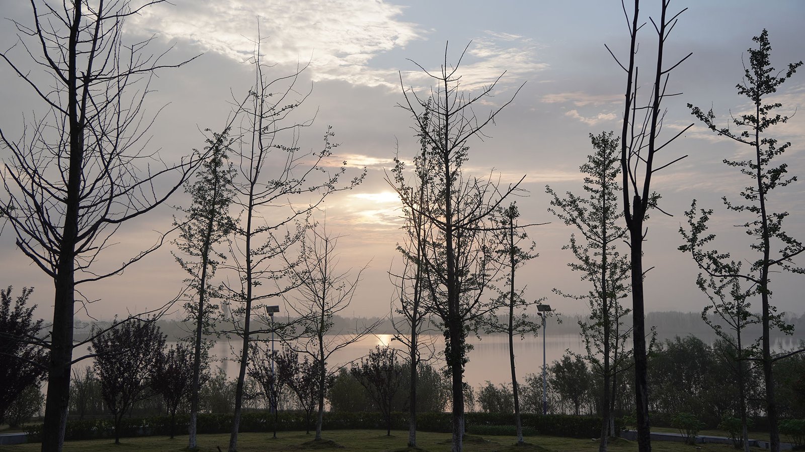 百度一下是什么梗?为什么都喜欢用百度一下