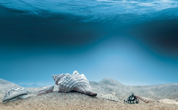 在线高清壁纸-波若密