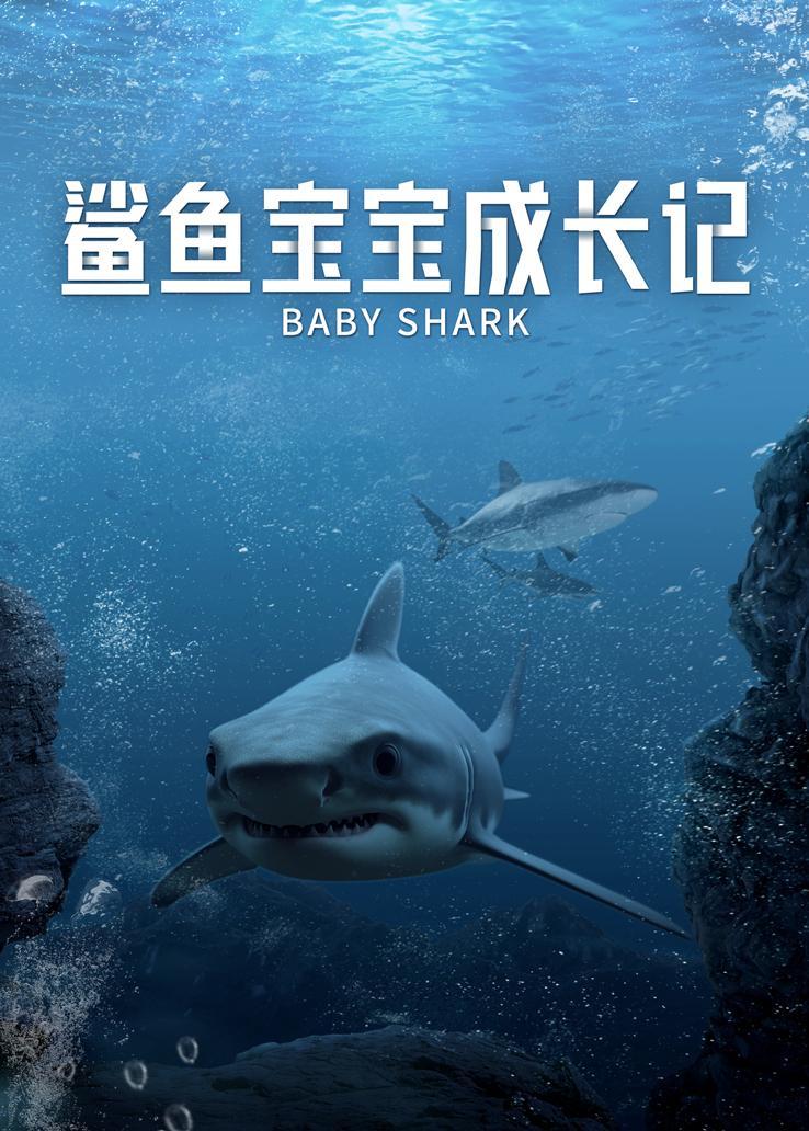 鲨鱼宝宝成长记