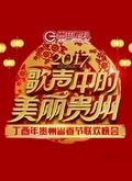 2017贵州卫视鸡年春晚