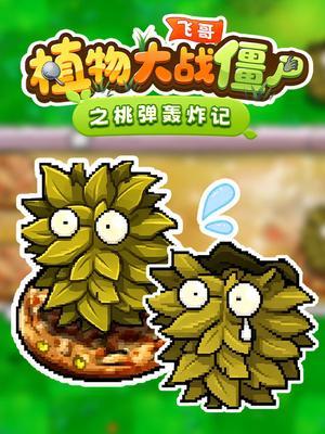 飞哥植物大战僵尸之桃弹轰炸记