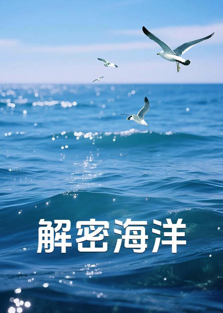解密海洋