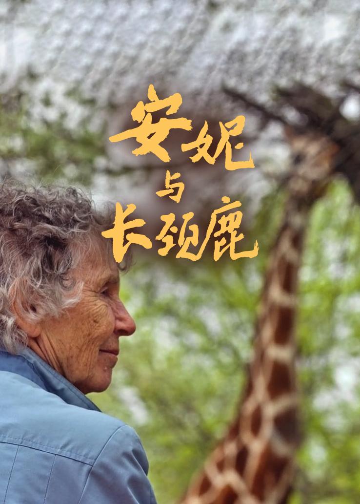 安妮与长颈鹿