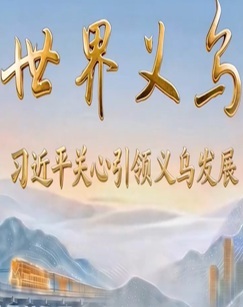 专题片世界义乌——习近平关心引领义乌发展