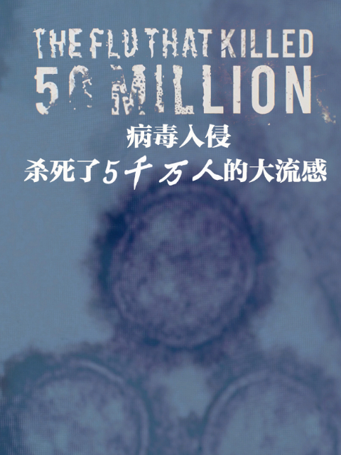 病毒入侵 杀死了5000万人的大流感