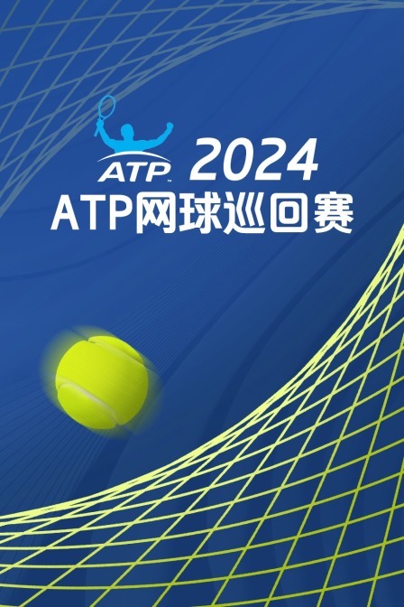 2024ATP250荷兰草地赛 男单半决赛 德米纳尔VS 安贝尔VS布劳沃的胜者