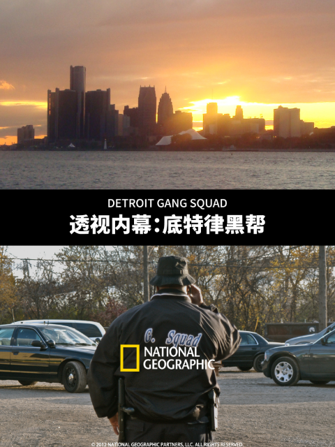 透视内幕：底特律黑帮