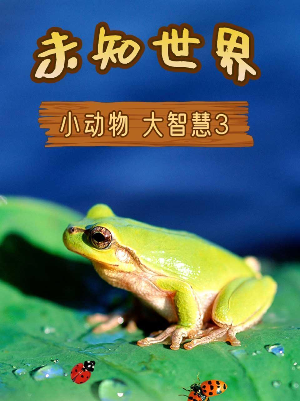 未知世界之小动物大智慧3