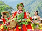 大道至简:水验(淹)哲学 (学术要塞 引按) - sun50919 - 牛郎官庄 步履博客的故乡 广东瑶族美女上演“水果时装秀”