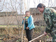 山里的这种宝贝，无叶也无根，却开花结果，可惜快被挖绝了