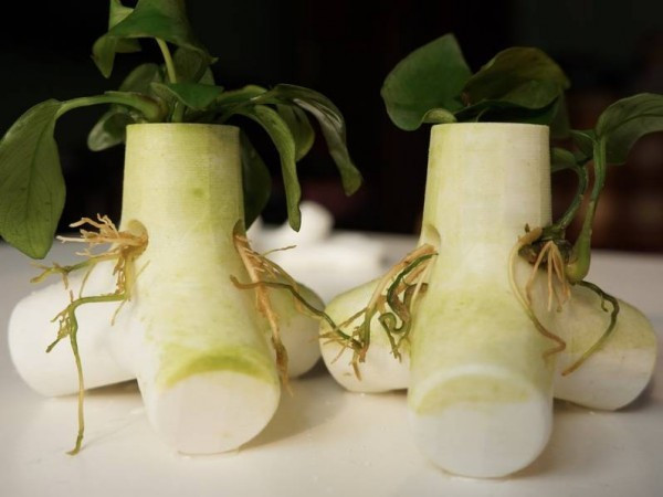 从VR头盔到手机 2016年设计最棒的19款产品