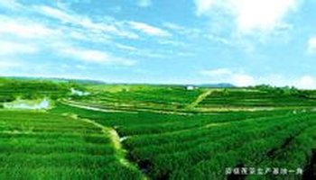 青平镇