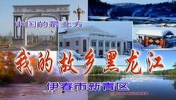 1,黑龙江省伊春市新青区