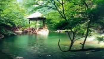 沟崖自然风景区
