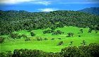 澳大利亚大盆地为什么叫大自流盆地