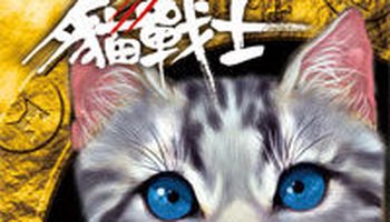 羽崽/小羽 粉丝代号:羽殿/羽尾殿 出处:艾琳·亨特所著的《猫武士》