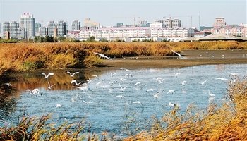 南京环评公司做个环评报告多少钱_砂石厂环评报告表_砂石厂环评