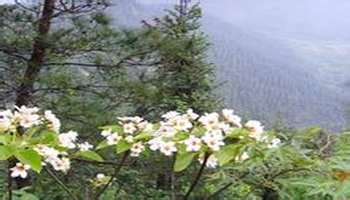 潢川双柳镇洪山寨