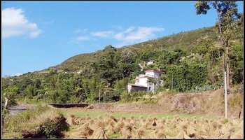 村情概况 温水塘村隶属于苴力镇水田村委会,属于山区.