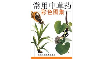 常用中草药彩色图集