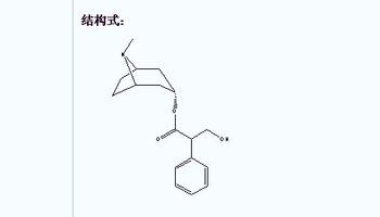 结构式