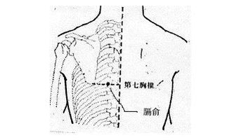 膈俞-360百科