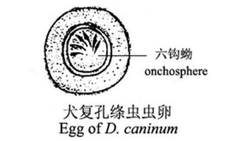 请输入验证码以便正常访问