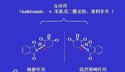 中文名称:反应停事件 主题词或关键词:化学药物 关键词:生命科学