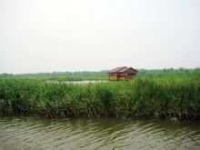 杭州湾