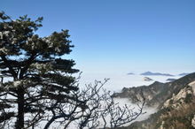 天堂云海