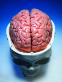 脑出血造成的脑髓伤好了能打防疫针吗