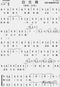 白兰鸽乐谱图片分享下载