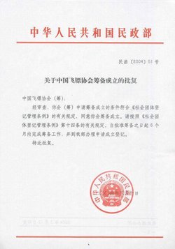 中国飞镖协会_360百科