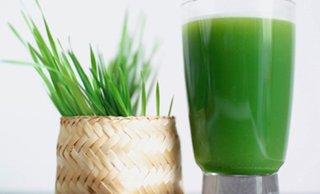 麦苗汁1杯，提供免费WiFi，精致美味，幸福滋味【6.5折】_常州美食团购_360团购导航