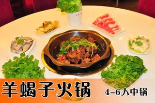 无锡羊营养火锅店中期食谱大全蝎子孕图片