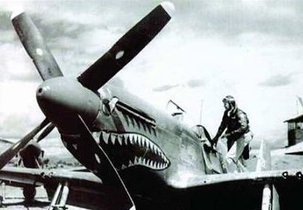 电影二战美国飞虎队_二战飞虎队_美国二战电