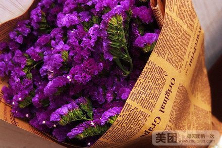 勿忘我花束1束,赠欧式包装外加1支南韩小熊