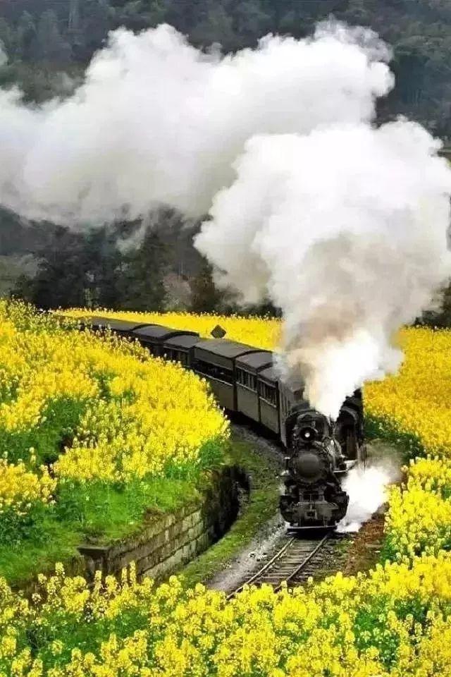 嘉阳蒸汽小火车,坐上去就开往春天