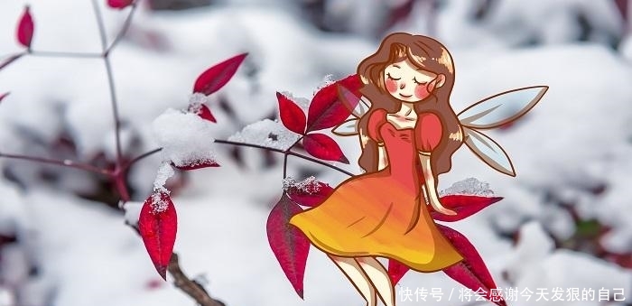 合伙开店协议合同