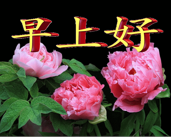 群发清晨早上好v表情表情图片表情2019最美早图片包屁动态屁图片