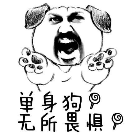 单身为什么是单身狗 单身狗的保险