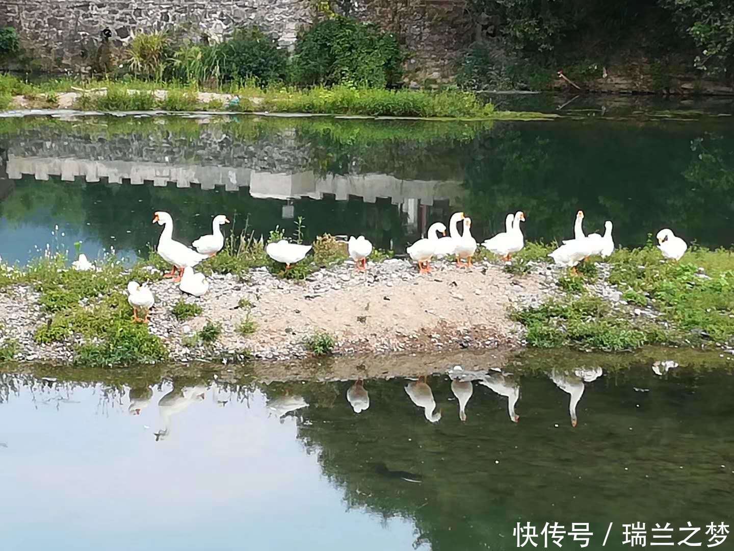 十大乡村旅游地灵秀湖北 乡约荆楚
