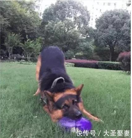 国足球员要求《西虹市首富》沈腾道歉,网友沸