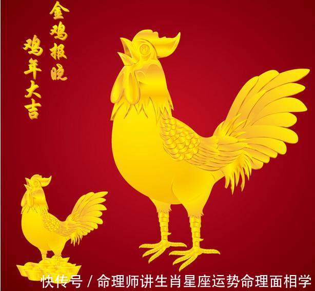 生肖鸡性格运势分析,你身边有属鸡的人吗?