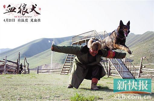 由刘建华执导,黄宏,刘向京,孙涛等主演的电影《血狼犬