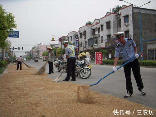 再过几天，农村这一现象又要泛滥，国家明令禁止，农民别再干了！