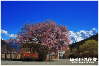 这个春天,来雅鲁藏布大峡谷,共赴一场桃花盛宴