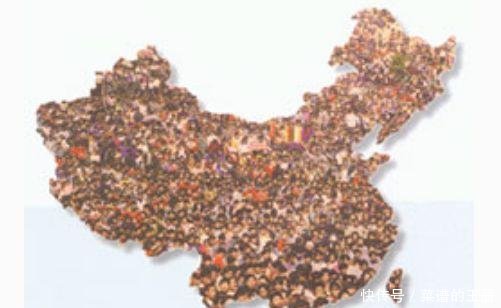 到了2050年,中国会有多少人口专家给出的一个
