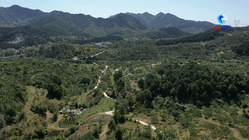 t010ed90ee9976ba607.gif?size=360x203